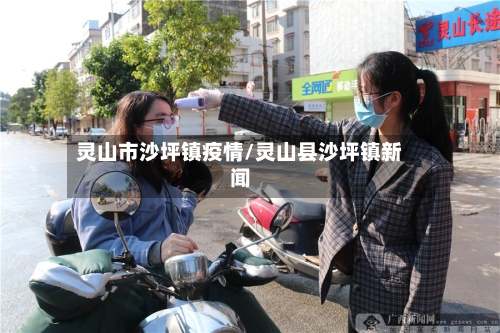 灵山市沙坪镇疫情/灵山县沙坪镇新闻-第1张图片