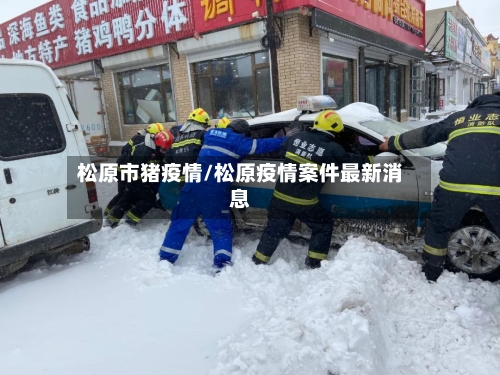 松原市猪疫情/松原疫情案件最新消息