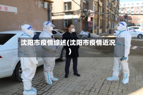 沈阳市疫情综述(沈阳市疫情近况)-第2张图片