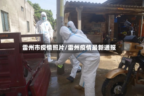 雷州市疫情照片/雷州疫情最新通报-第1张图片
