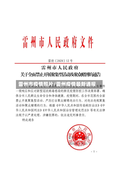 雷州市疫情照片/雷州疫情最新通报-第2张图片