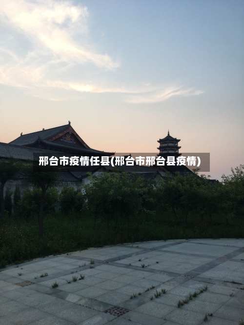 邢台市疫情任县(邢台市邢台县疫情)