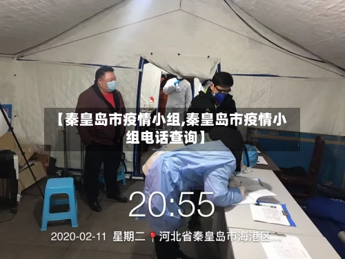 【秦皇岛市疫情小组,秦皇岛市疫情小组电话查询】-第1张图片