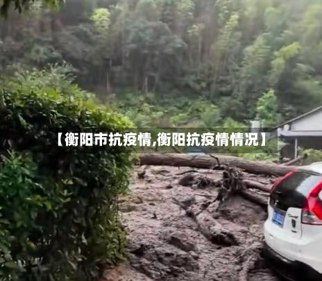 【衡阳市抗疫情,衡阳抗疫情情况】