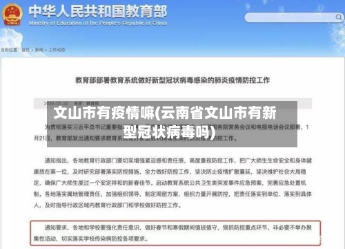 文山市有疫情嘛(云南省文山市有新型冠状病毒吗)-第1张图片