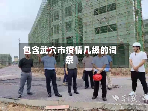 包含武穴市疫情几级的词条-第1张图片