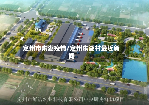 定州市东湖疫情/定州东湖村最近新闻