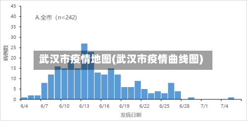 武汉市疫情地图(武汉市疫情曲线图)