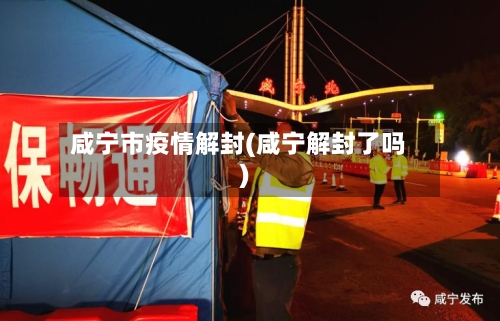 咸宁市疫情解封(咸宁解封了吗)-第2张图片