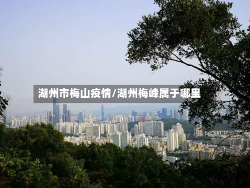 湖州市梅山疫情/湖州梅峰属于哪里