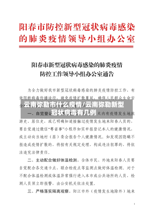 云南弥勒市什么疫情/云南弥勒新型冠状病毒有几例-第2张图片
