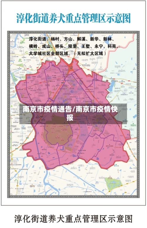 南京市疫情通告/南京市疫情快报
