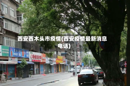 西安西木头市疫情(西安疫情最新消息电话)