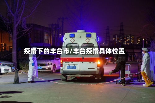 疫情下的丰台市/丰台疫情具体位置