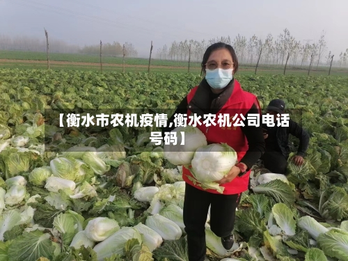 【衡水市农机疫情,衡水农机公司电话号码】