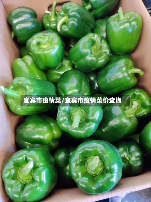 宜宾市疫情菜/宜宾市疫情菜价查询