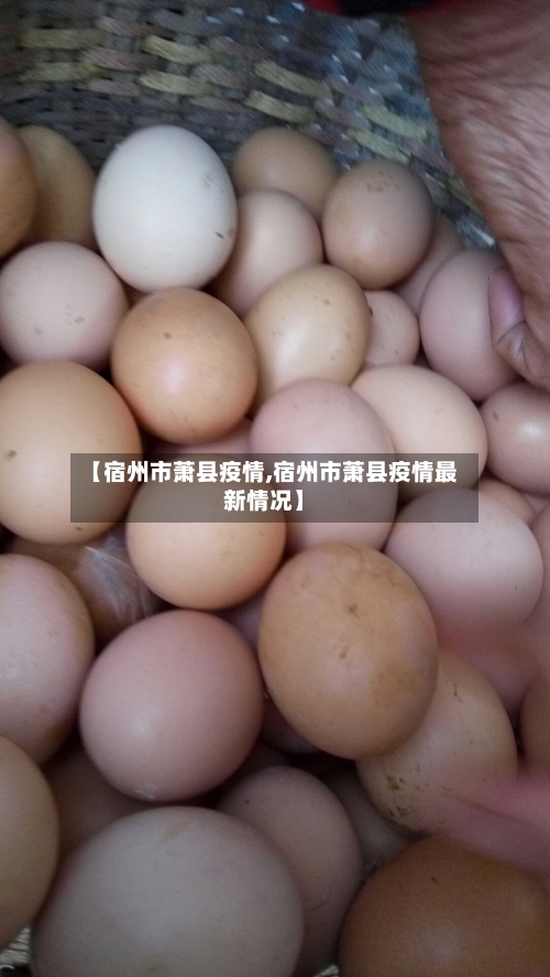 【宿州市萧县疫情,宿州市萧县疫情最新情况】-第3张图片