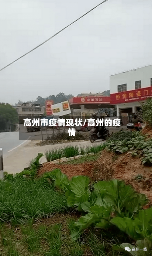 高州市疫情现状/高州的疫情