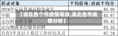 【湖北各个市疫情等级,湖北各市疫情分析】-第2张图片