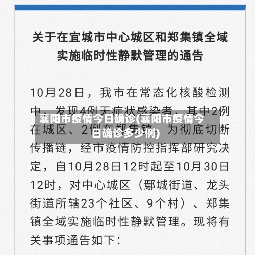 襄阳市疫情今日确诊(襄阳市疫情今日确诊多少例)-第2张图片