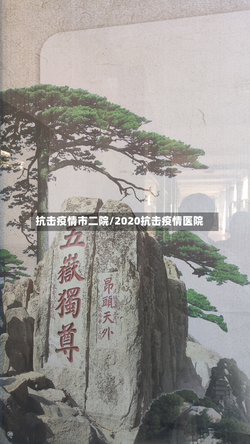 抗击疫情市二院/2020抗击疫情医院-第3张图片