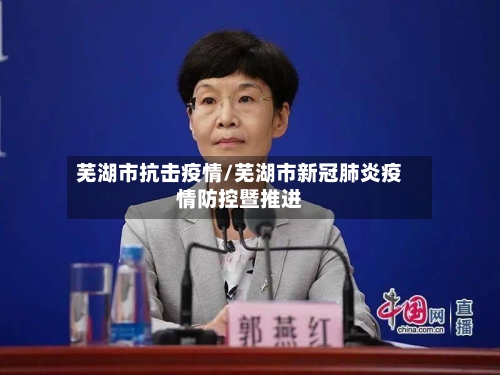 芜湖市抗击疫情/芜湖市新冠肺炎疫情防控暨推进-第2张图片