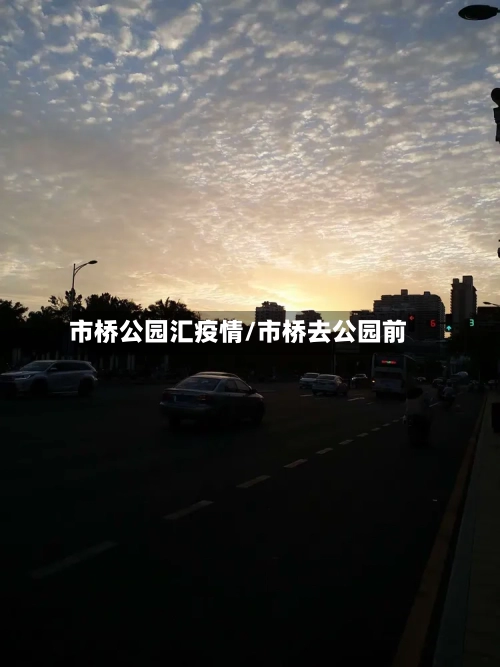 市桥公园汇疫情/市桥去公园前-第2张图片