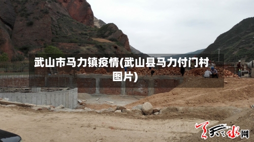 武山市马力镇疫情(武山县马力付门村图片)-第1张图片