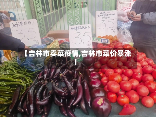 【吉林市卖菜疫情,吉林市菜价暴涨】-第1张图片