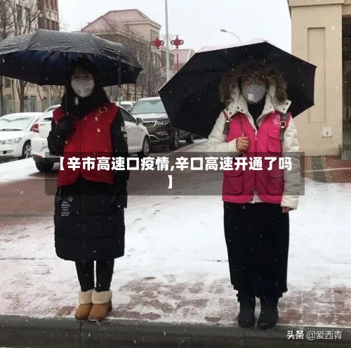 【辛市高速口疫情,辛口高速开通了吗】-第1张图片