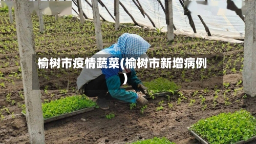 榆树市疫情蔬菜(榆树市新增病例)-第2张图片