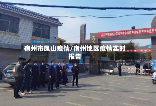 宿州市凤山疫情/宿州地区疫情实时报告-第2张图片