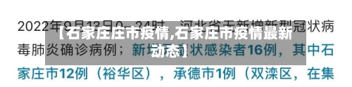 【石家庄庄市疫情,石家庄市疫情最新动态】