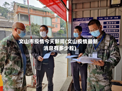 文山市疫情今天新闻(文山疫情最新消息有多少粒)-第1张图片