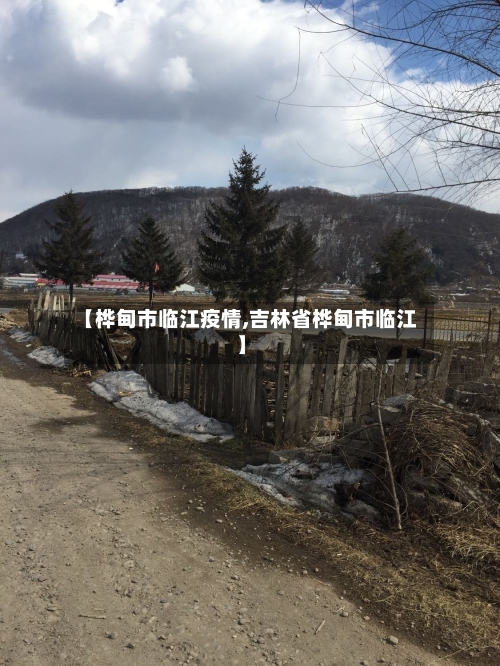 【桦甸市临江疫情,吉林省桦甸市临江】