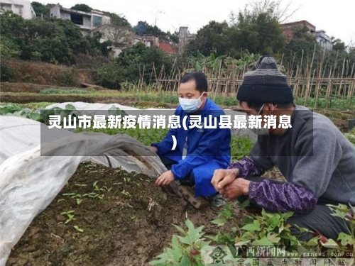灵山市最新疫情消息(灵山县最新消息)-第1张图片