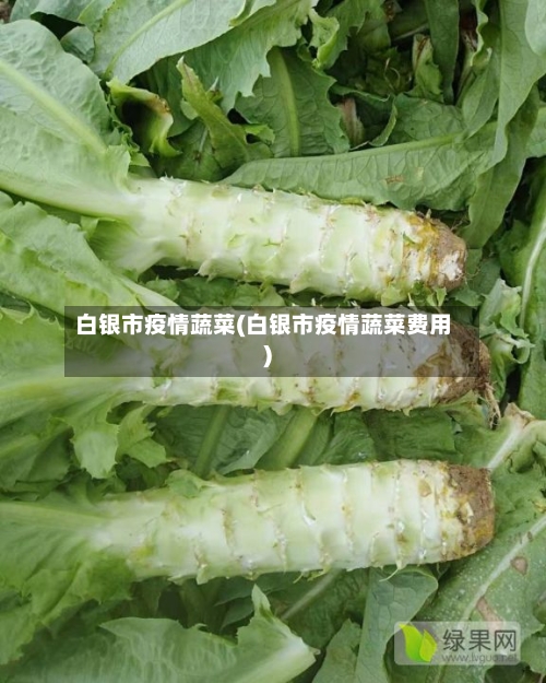 白银市疫情蔬菜(白银市疫情蔬菜费用)-第1张图片