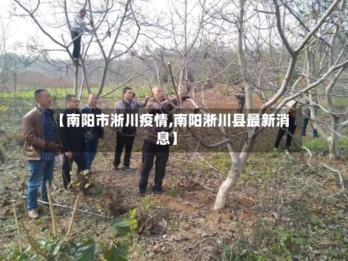 【南阳市淅川疫情,南阳淅川县最新消息】-第1张图片