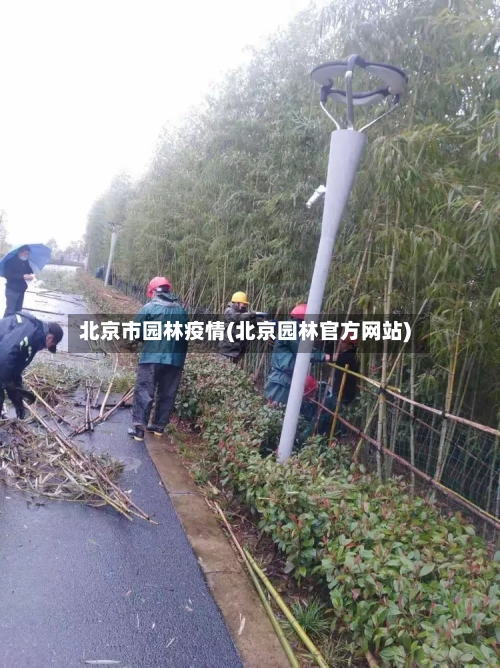 北京市园林疫情(北京园林官方网站)-第2张图片