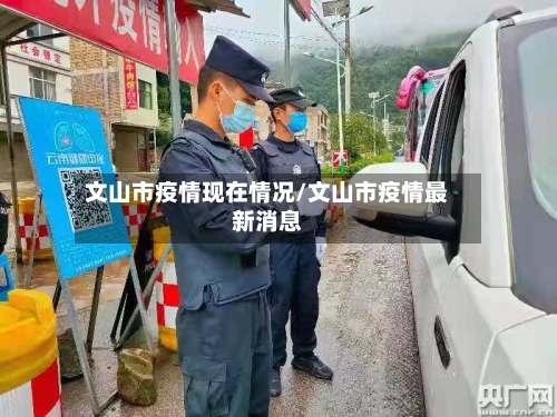 文山市疫情现在情况/文山市疫情最新消息-第2张图片