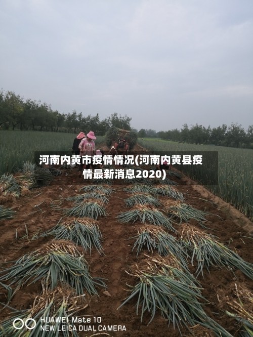 河南内黄市疫情情况(河南内黄县疫情最新消息2020)