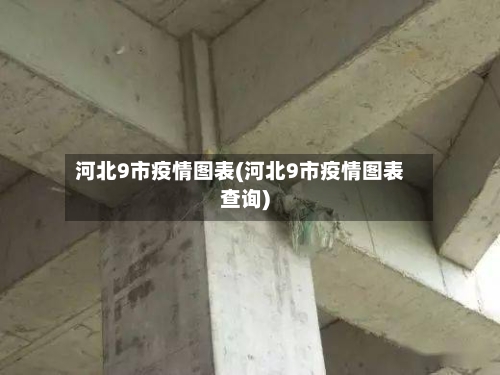 河北9市疫情图表(河北9市疫情图表查询)-第1张图片