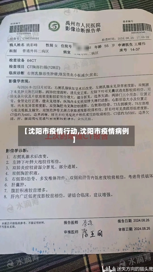 【沈阳市疫情行动,沈阳市疫情病例】-第1张图片