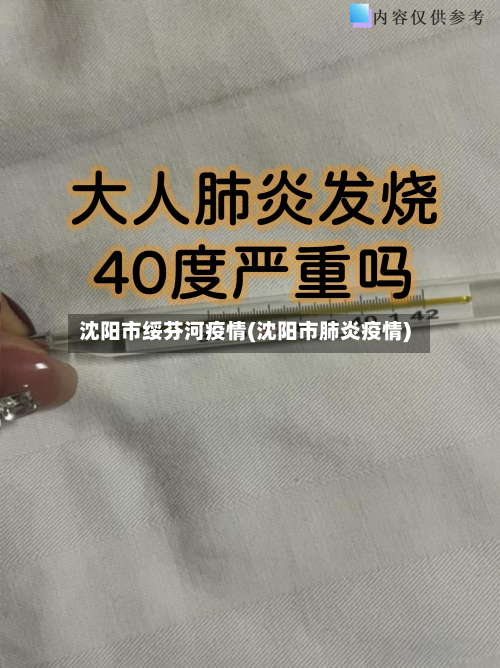 沈阳市绥芬河疫情(沈阳市肺炎疫情)