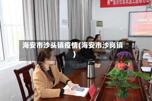 海安市沙头镇疫情(海安市沙岗镇)-第2张图片