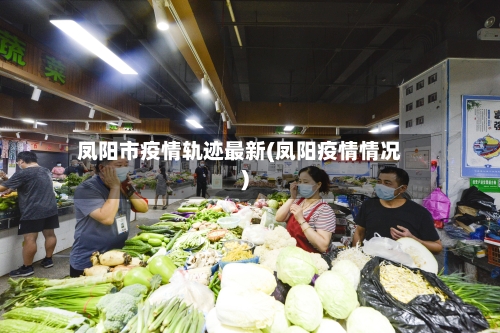 凤阳市疫情轨迹最新(凤阳疫情情况)-第2张图片