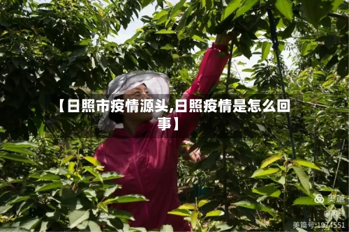 【日照市疫情源头,日照疫情是怎么回事】-第1张图片