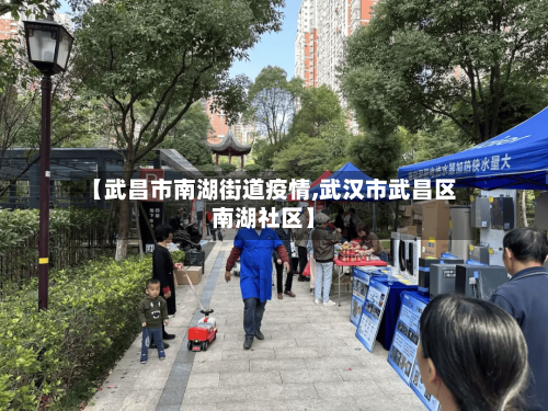 【武昌市南湖街道疫情,武汉市武昌区南湖社区】-第2张图片