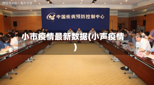 小市疫情最新数据(小声疫情)-第1张图片