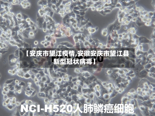 【安庆市望江疫情,安徽安庆市望江县新型冠状病毒】